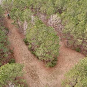 Photo #48 of 106.6 Acres-TBD Highway 52, Salters, SC 106.6 acres