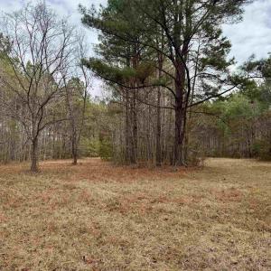 Photo #32 of 106.6 Acres-TBD Highway 52, Salters, SC 106.6 acres