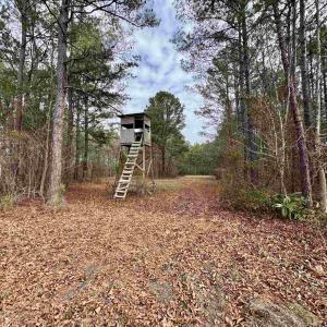 Photo #31 of 106.6 Acres-TBD Highway 52, Salters, SC 106.6 acres