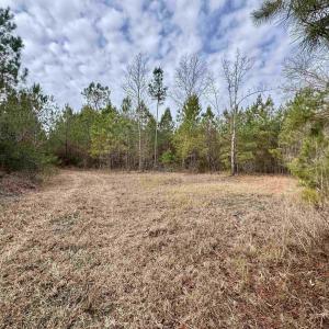 Photo #17 of 106.6 Acres-TBD Highway 52, Salters, SC 106.6 acres