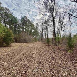 Photo #36 of 106.6 Acres-TBD Highway 52, Salters, SC 106.6 acres