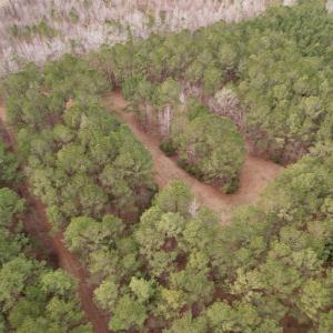 Photo #45 of 106.6 Acres-TBD Highway 52, Salters, SC 106.6 acres