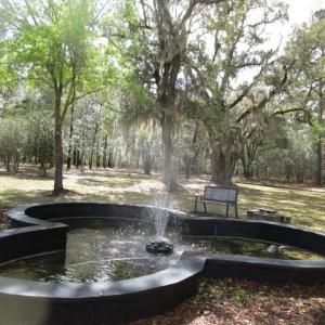 Photo #7 of 112 Duany Dr., Georgetown, SC 0.1 acres