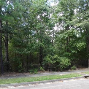 Photo #1 of 112 Duany Dr., Georgetown, SC 0.1 acres