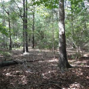Photo #6 of 112 Duany Dr., Georgetown, SC 0.1 acres