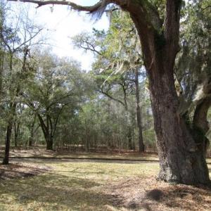 Photo #31 of 112 Duany Dr., Georgetown, SC 0.1 acres