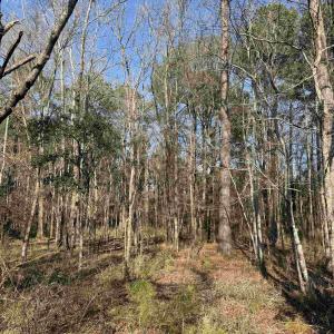 Photo #2 of 23.30 Acres-TBD Dainty Ave, Kingstree, SC 23.3 acres