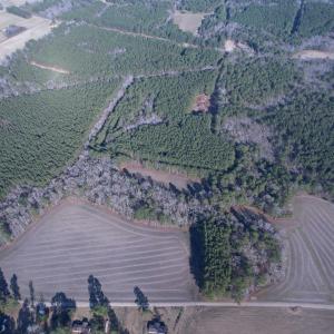 Photo #10 of 23.30 Acres-TBD Dainty Ave, Kingstree, SC 23.3 acres