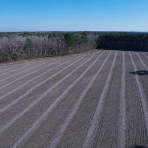 Photo #15 of 23.30 Acres-TBD Dainty Ave, Kingstree, SC 23.3 acres