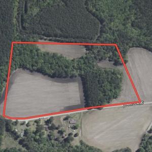 Photo #19 of 23.30 Acres-TBD Dainty Ave, Kingstree, SC 23.3 acres