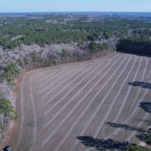 Photo #16 of 23.30 Acres-TBD Dainty Ave, Kingstree, SC 23.3 acres