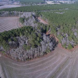 Photo #13 of 23.30 Acres-TBD Dainty Ave, Kingstree, SC 23.3 acres