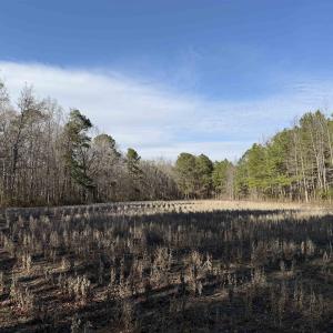 Photo #5 of 23.30 Acres-TBD Dainty Ave, Kingstree, SC 23.3 acres
