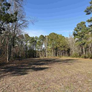 Photo #7 of 23.30 Acres-TBD Dainty Ave, Kingstree, SC 23.3 acres