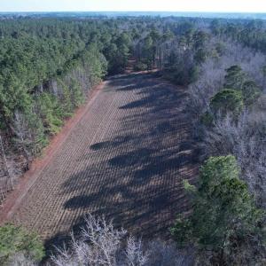 Photo #14 of 23.30 Acres-TBD Dainty Ave, Kingstree, SC 23.3 acres