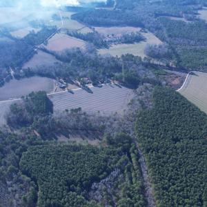 Photo #12 of 23.30 Acres-TBD Dainty Ave, Kingstree, SC 23.3 acres