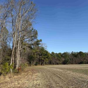 Photo #3 of 23.30 Acres-TBD Dainty Ave, Kingstree, SC 23.3 acres