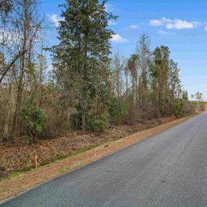 Photo #3 of TBD Fowler School Rd., Green Sea, SC 23.7 acres