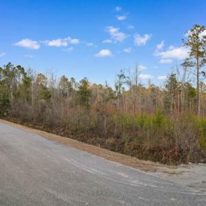 Photo #2 of TBD Fowler School Rd., Green Sea, SC 23.7 acres