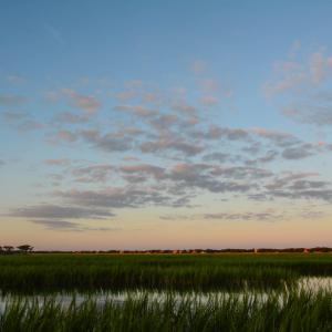 Photo #25 of Lot 39 Jutland Ln., Georgetown, SC 0.6 acres