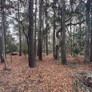 Photo #2 of Lot 39 Jutland Ln., Georgetown, SC 0.6 acres