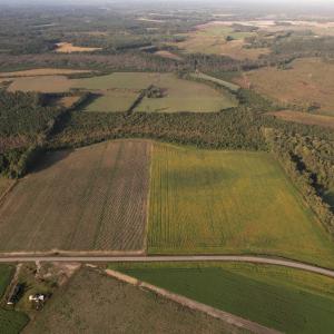 Photo #5 of 22 Acres-TBD Baxley Rd., Hemingway, SC 22.1 acres