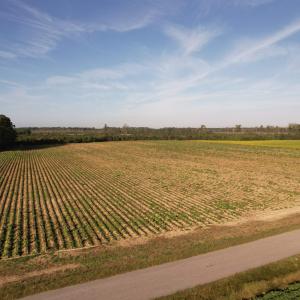 Photo #1 of 22 Acres-TBD Baxley Rd., Hemingway, SC 22.1 acres