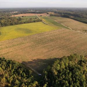 Photo #2 of 22 Acres-TBD Baxley Rd., Hemingway, SC 22.1 acres