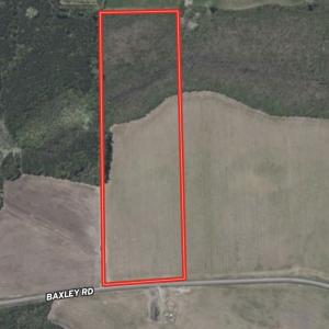 Photo #20 of 22 Acres-TBD Baxley Rd., Hemingway, SC 22.1 acres