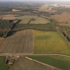 Photo #4 of 22 Acres-TBD Baxley Rd., Hemingway, SC 22.1 acres