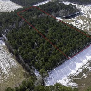 Photo #5 of TBD Carroll Todd Rd., Conway, SC 4.0 acres