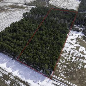 Photo #3 of TBD Carroll Todd Rd., Conway, SC 4.0 acres