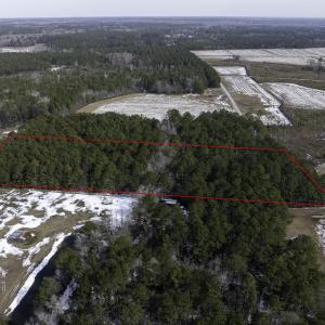 Photo #7 of TBD Carroll Todd Rd., Conway, SC 4.0 acres