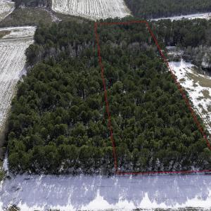 Photo #4 of TBD Carroll Todd Rd., Conway, SC 4.0 acres