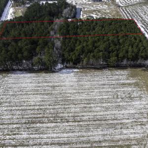 Photo #6 of TBD Carroll Todd Rd., Conway, SC 4.0 acres