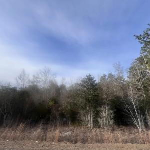 Photo #1 of TBD Retired Ave., Marion, SC 0.8 acres