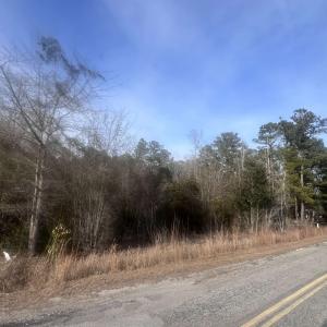 Photo #2 of TBD Retired Ave., Marion, SC 0.8 acres