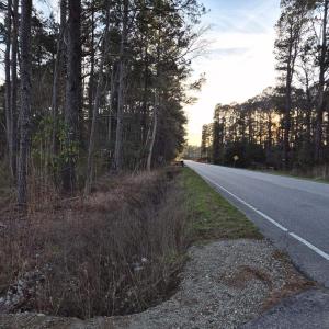 View of asphalt street featuring view of scattered