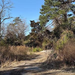 Photo #2 of 1005 3rd Ave. N, Myrtle Beach, SC 0.3 acres