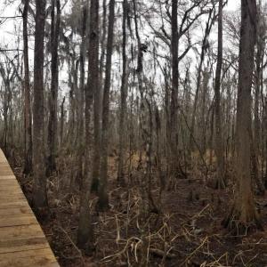 Photo #6 of 3120 High Market St., Georgetown, SC 3.4 acres