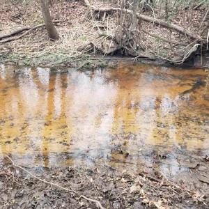 Photo #8 of 3120 High Market St., Georgetown, SC 3.4 acres