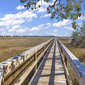 Photo #14 of 134 Enclave Pl., Pawleys Island, SC 0.1 acres