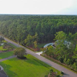Bird's eye view of a forest