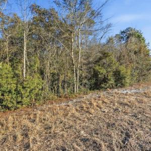 Photo #11 of TBD Black Creek Rd., Nichols, SC 15.0 acres