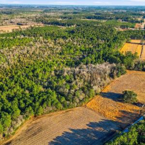 Photo #15 of TBD Black Creek Rd., Nichols, SC 15.0 acres