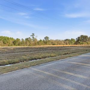 Photo #5 of TBD Black Creek Rd., Nichols, SC 15.0 acres