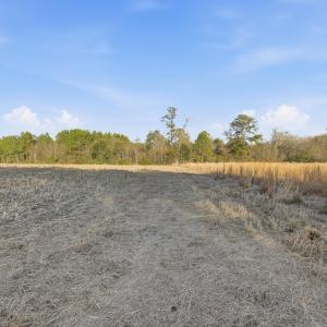 Photo #12 of TBD Black Creek Rd., Nichols, SC 15.0 acres