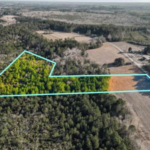 Photo #19 of TBD Black Creek Rd., Nichols, SC 15.0 acres