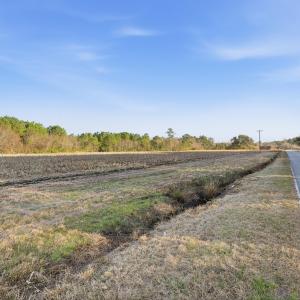 Photo #3 of TBD Black Creek Rd., Nichols, SC 15.0 acres
