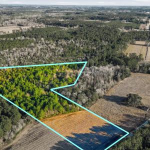 Photo #1 of TBD Black Creek Rd., Nichols, SC 15.0 acres